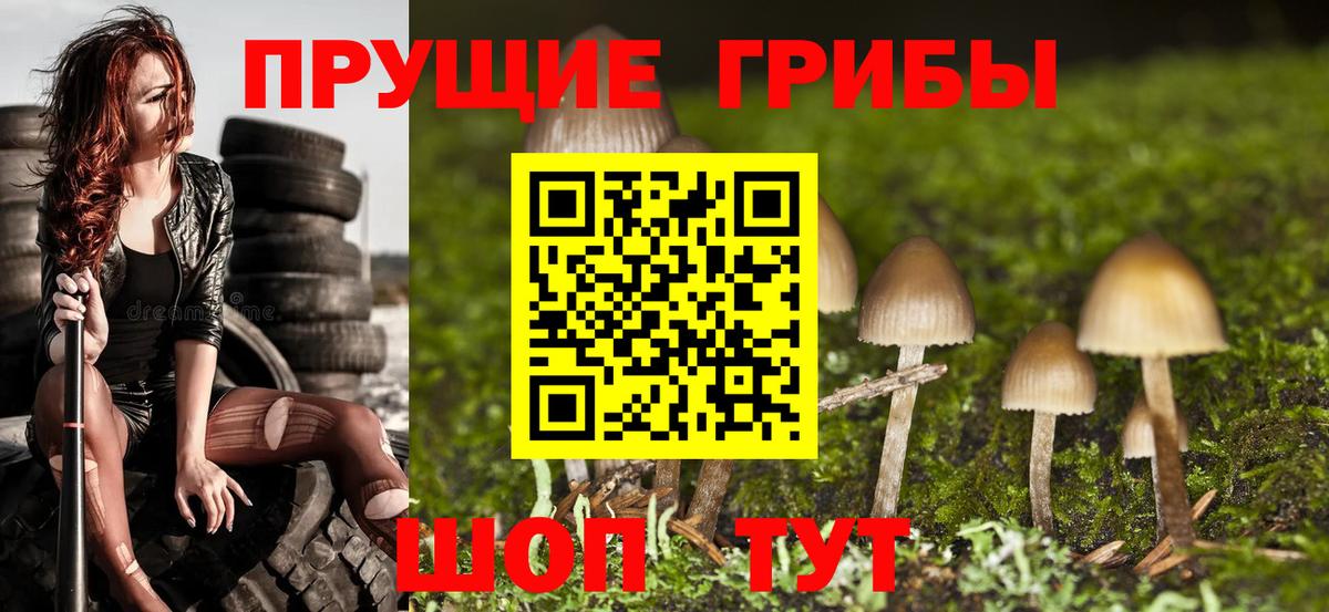 Галлюциногенные грибы прущие грибы  Вход с VPN  Бердск 