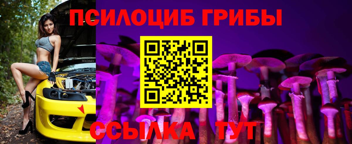 Галлюциногенные грибы MAGIC MUSHROOMS Бердск